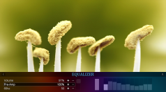 Click here for a full size preview