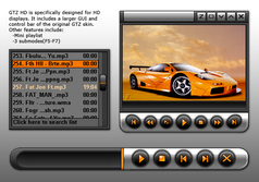 GTZ User Interface Skin