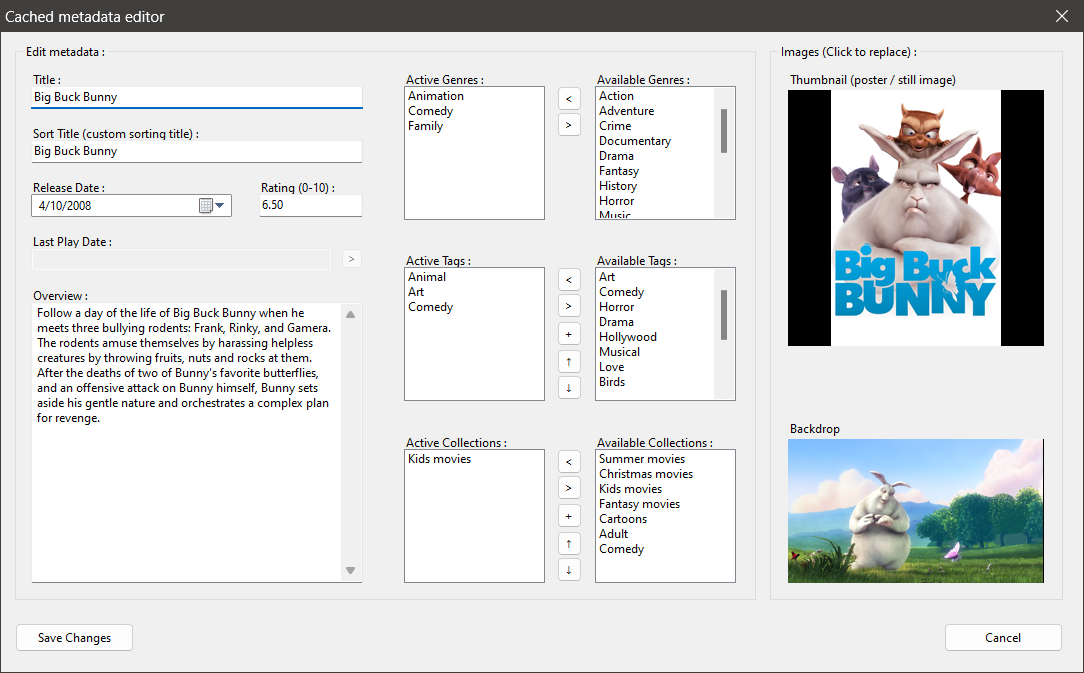 Zoom Player's Metadata editor Dialog