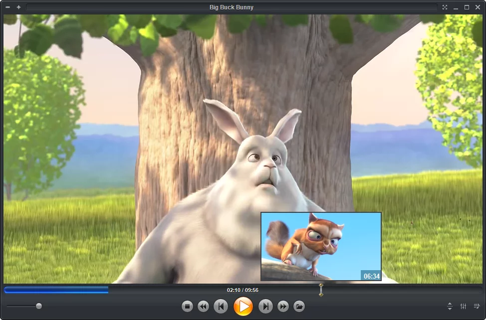 Zoom Player Timeline position thumbnail