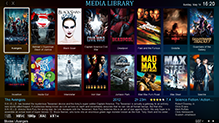 Media Library Movie Mode Fullscreen Navigation Screenshot