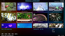 Media Library Video Mode Fullscreen Navigation Screenshot