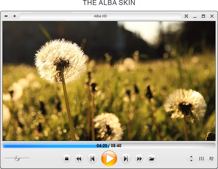 Zoom Player's Alba skin