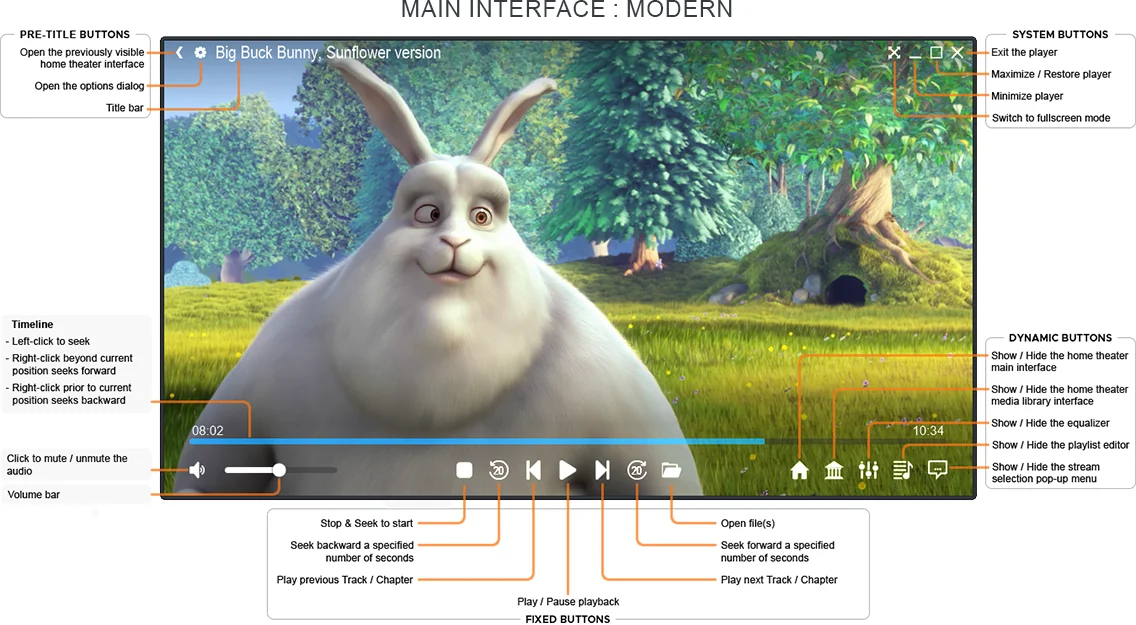 Zoom Player's Control Overlay