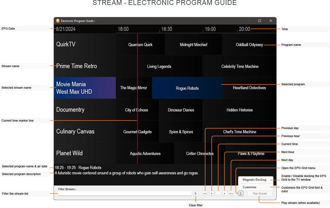 Zoom Player's Stream EPG Interface